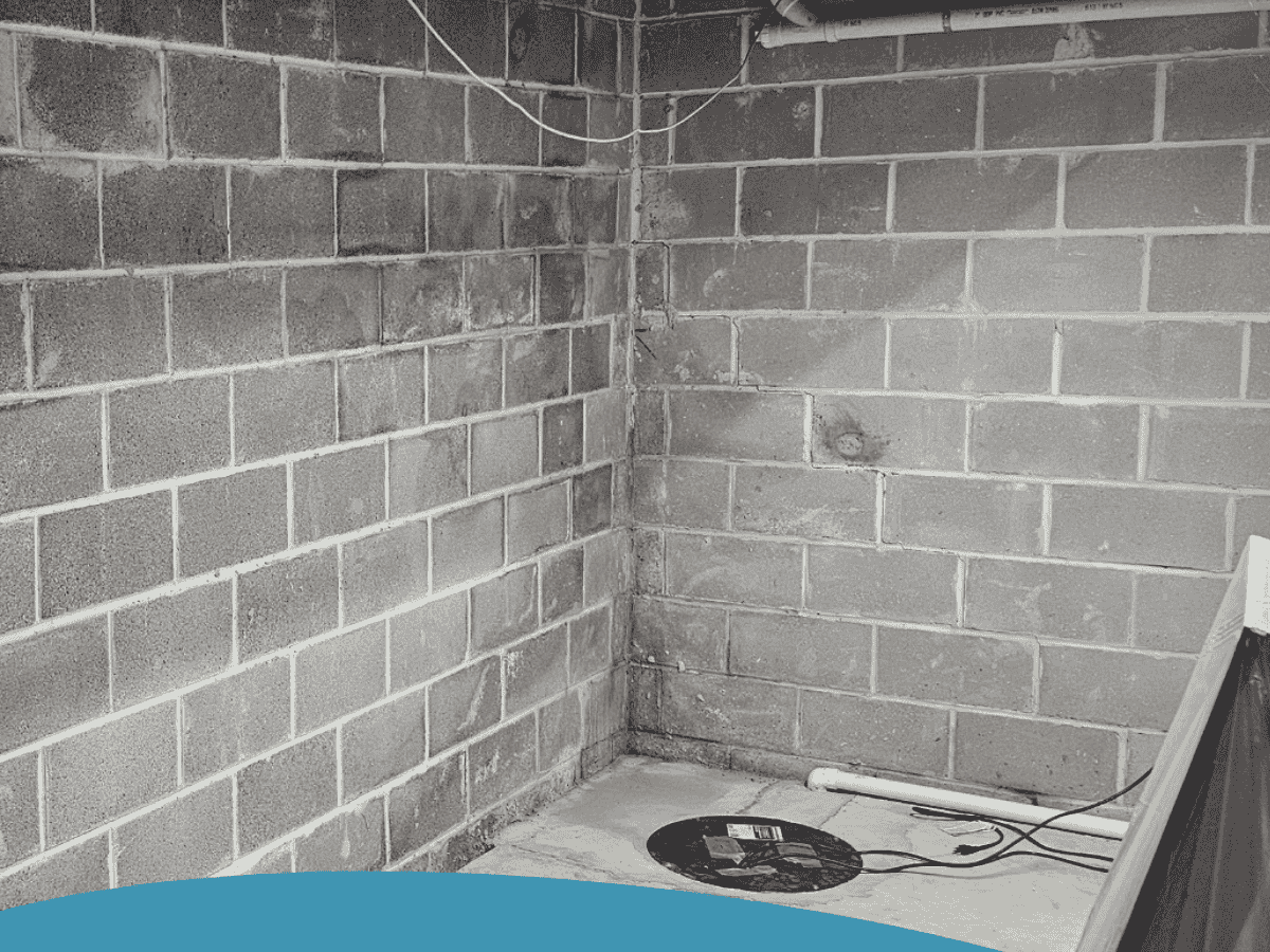 Lifetime Transferable Warranty